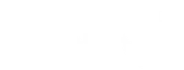 Lyns Media — Launching your new success
